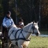 Katrin Kivihall ja Mariliis Õunapuu, hobune on Rosetta.