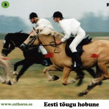 Roosi (1990-2013), i. Rips, e. Tulda, kasvataja Peep Pärisoo. 

Roosi on tänapäeva eesti hobuse populatsioonis suure mõjuga märaperekonna alustaja. Roosi jättis tõule tunnustatud sugutäkud Rodeo (i. Roman), Aiken (i. Anakee), Teik (i. Tommi), Rasmus (i. Rosett), Rajur (i. Rosett), Repriis (i. Raksel) ning märajärglased Adeelia (i. Ando) ja Abeelia (i. Ando), kes omakorda on andud tõule kõrgelt tunnustatud järglasi.  Märajärglane Amanda on aga näidanud ebaharilikku võimekust kestvusratsutamises . Roosi on kantud ka igaveseks filmiajalukku kui osatäitja filmis 