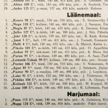 Plakat Eesti tõugu sugutäkud 1937.a. paaritamiseks, HKM _ 5415:1 A 4599, Hiiumaa Muuseumid SA, http://www.muis.ee/museaalview/192115